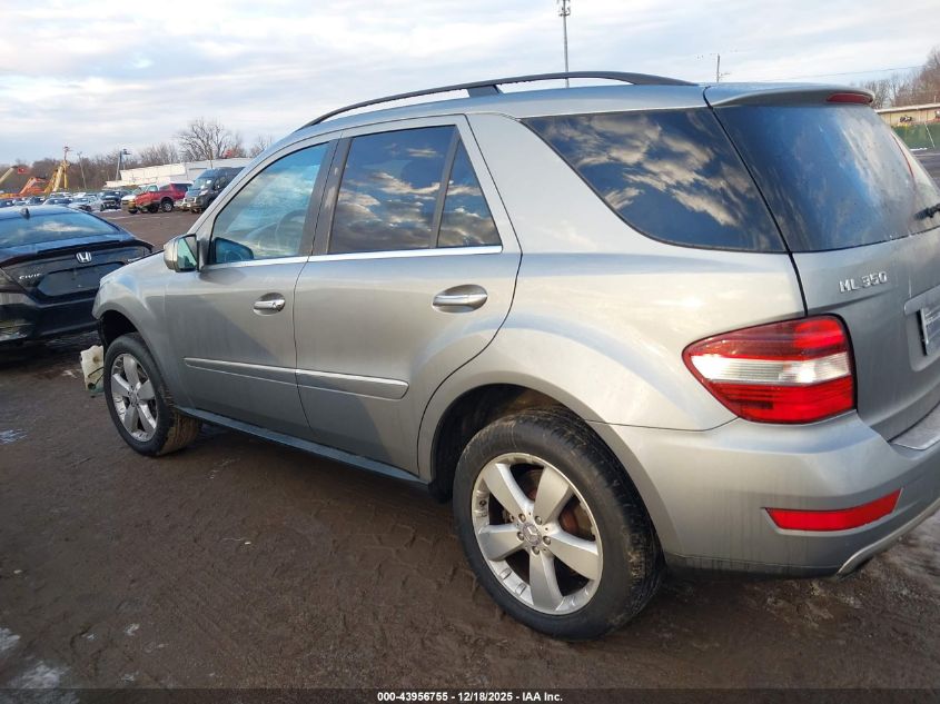 2010 Mercedes-Benz Ml 350 4Matic VIN: 4JGBB8GB0AA615986 Lot: 43956755