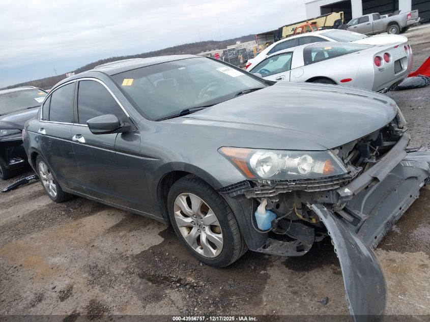 2010 Honda Accord 3.5 Ex-L VIN: 1HGCP3F86AA004123 Lot: 43956757