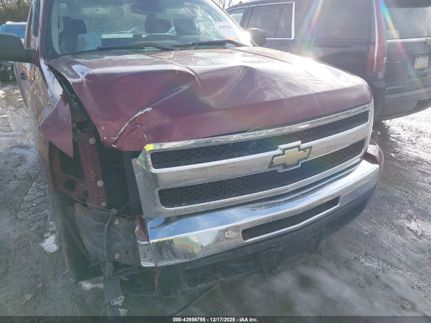 2009 Chevrolet Silverado 1500 Work Truck VIN: 1GCEC14X29Z159752 Lot: 43956795