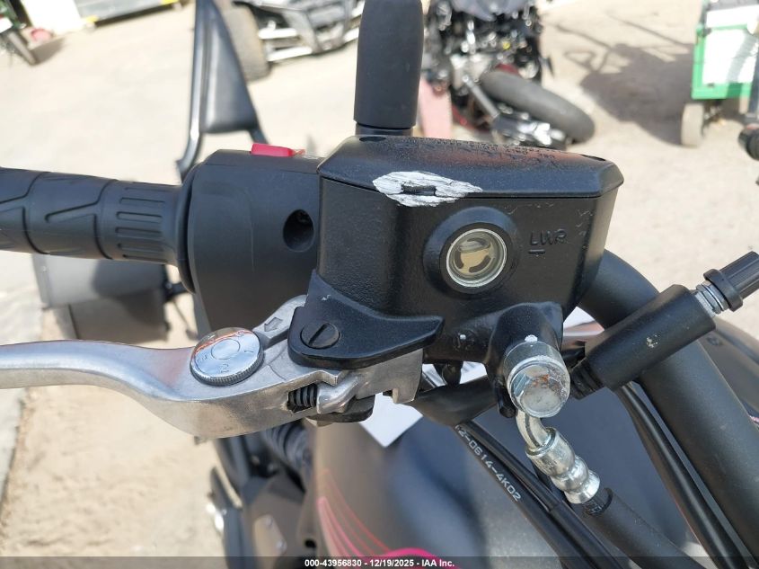 2025 Kawasaki En650 D VIN: JKAENED19SDA35216 Lot: 43956830