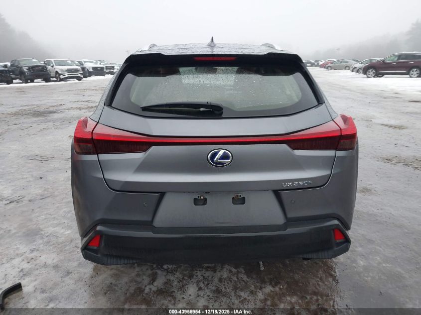 2019 Lexus Ux 250H VIN: JTHU9JBH4K2014800 Lot: 43956954