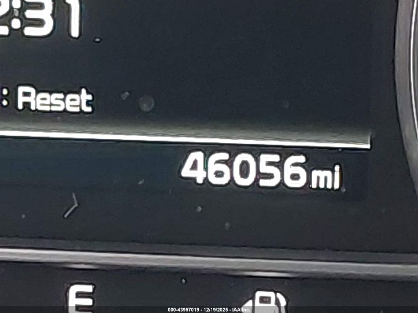 2023 Kia Sorento X-Line Ex VIN: 5XYRHDLF9PG185354 Lot: 43957019