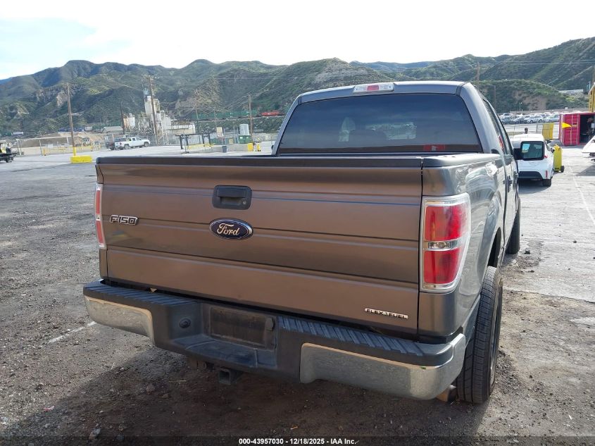 2014 Ford F-150 Xlt VIN: 1FTFW1CF3EKE84479 Lot: 43957030