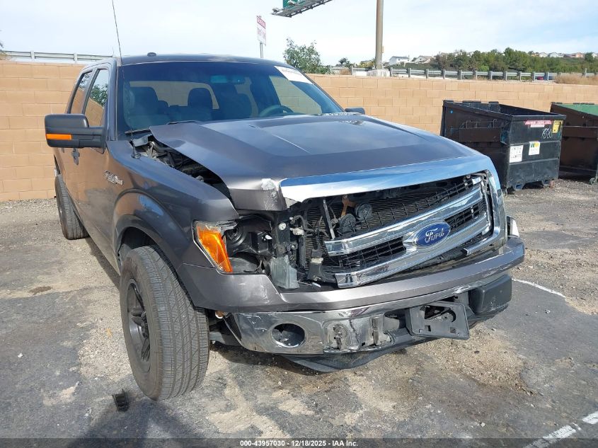 2014 Ford F-150 Xlt VIN: 1FTFW1CF3EKE84479 Lot: 43957030