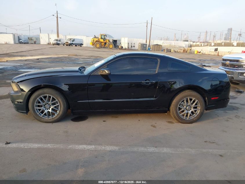 2013 Ford Mustang V6 Premium VIN: 1ZVBP8AM7D5273124 Lot: 43957077
