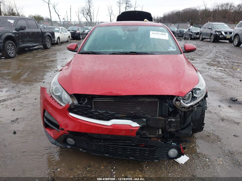 2019 Kia Forte Lxs VIN: 3KPF24ADXKE061198 Lot: 43957080