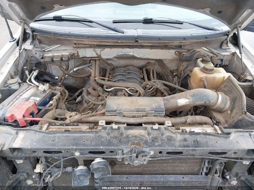 2013 Ford F-150 Fx4/King Ranch/Lariat/Platinum/Xl/Xlt VIN: 1FTFW1EFXDKD73407 Lot: 43957315