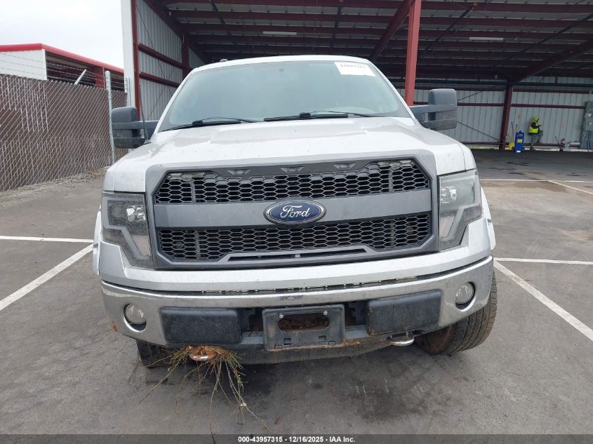 2013 Ford F-150 Fx4/King Ranch/Lariat/Platinum/Xl/Xlt VIN: 1FTFW1EFXDKD73407 Lot: 43957315
