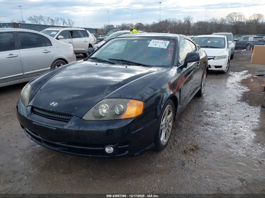 2003 Hyundai Tiburon Gt V6 VIN: KMHHN65F53U020385 Lot: 43957390