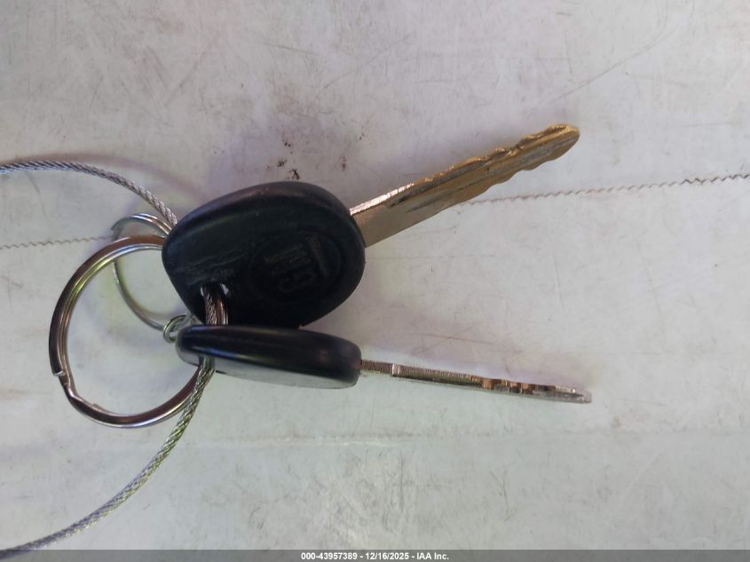 2002 Chevrolet Silverado 1500 Ls VIN: 2GCEC19T321305306 Lot: 43957389