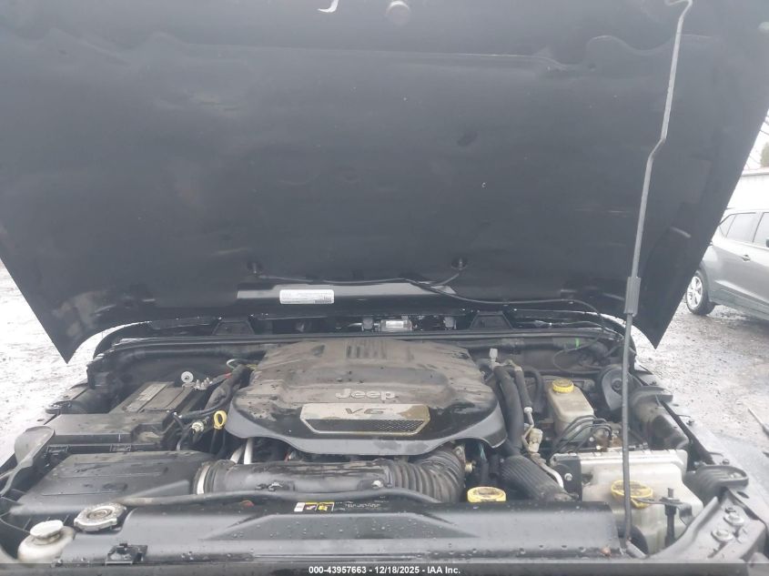 2017 Jeep Wrangler Unlimited Rubicon 4X4 VIN: 1C4BJWFG1HL616264 Lot: 43957663