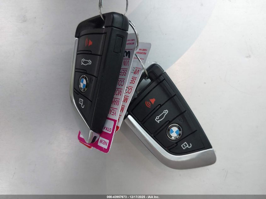 2020 BMW X3 xDrive30I VIN: 5UXTY5C05L9B17931 Lot: 43957673