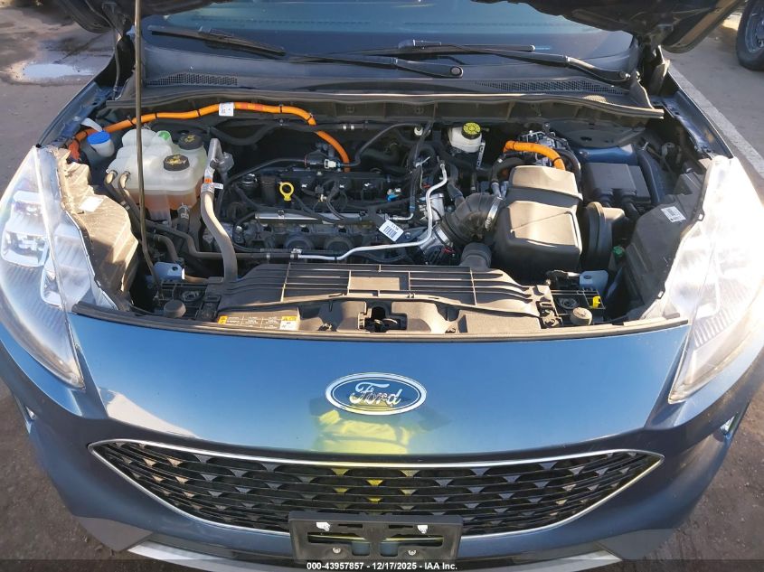 2020 Ford Escape Titanium Hybrid VIN: 1FMCU0DZ4LUC50196 Lot: 43957857
