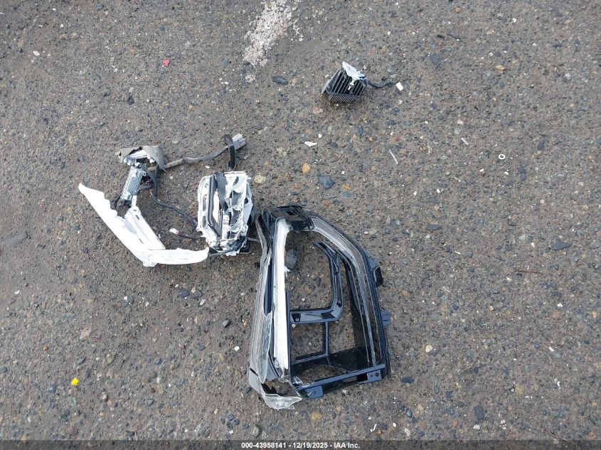 2019 Toyota Tundra Limited 5.7L V8 VIN: 5TFBY5F11KX788280 Lot: 43958141