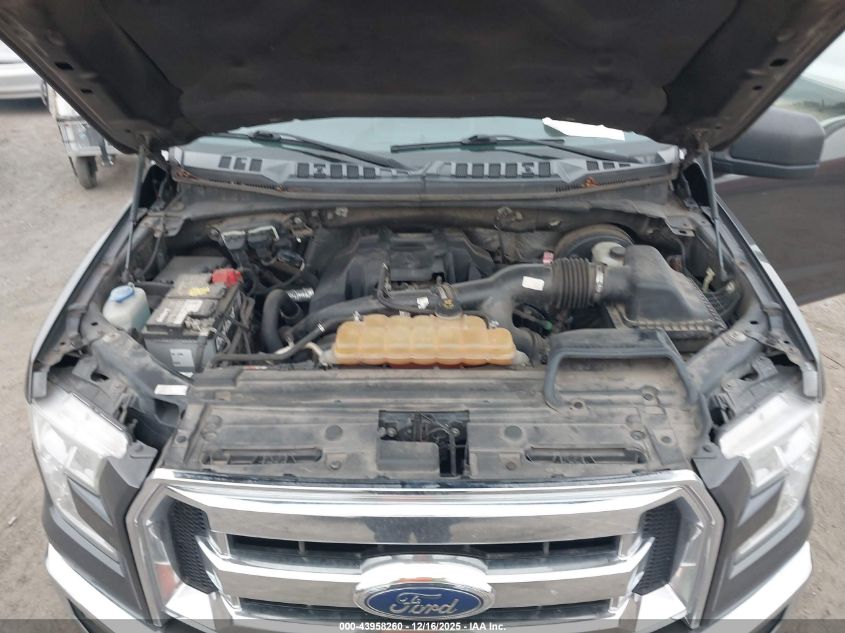 2016 Ford F-150 Xlt VIN: 1FTMF1CP8GKD41529 Lot: 43958260