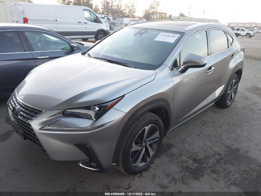 2021 Lexus Nx 300 VIN: JTJGARBZ2M2201031 Lot: 43958498