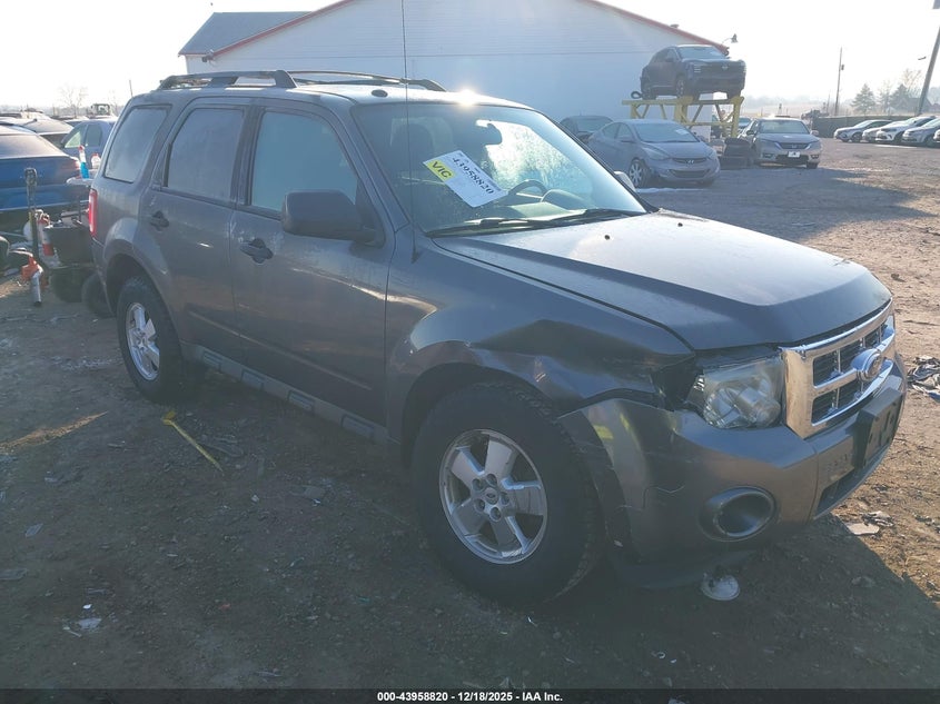 2012 FORD ESCAPE XLT
