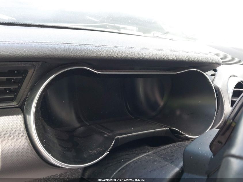 2019 Ford Mustang Ecoboost Premium VIN: 1FATP8UH5K5150995 Lot: 43958963