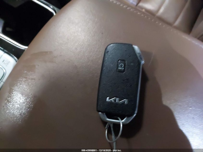 2022 Kia Telluride Sx VIN: 5XYP5DHC0NG289372 Lot: 43958981