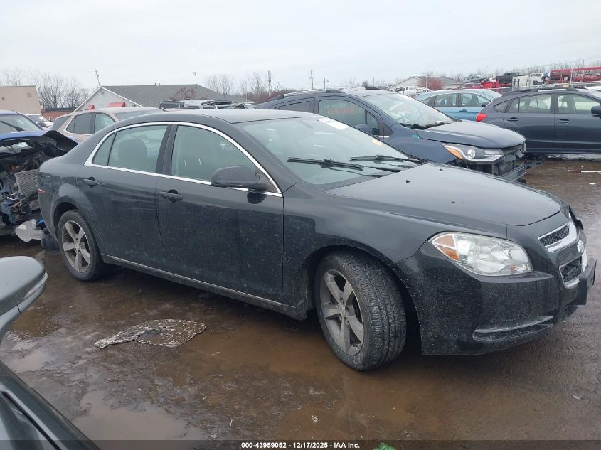 2011 Chevrolet Malibu 1Lt VIN: 1G1ZC5E11BF293607 Lot: 43959052