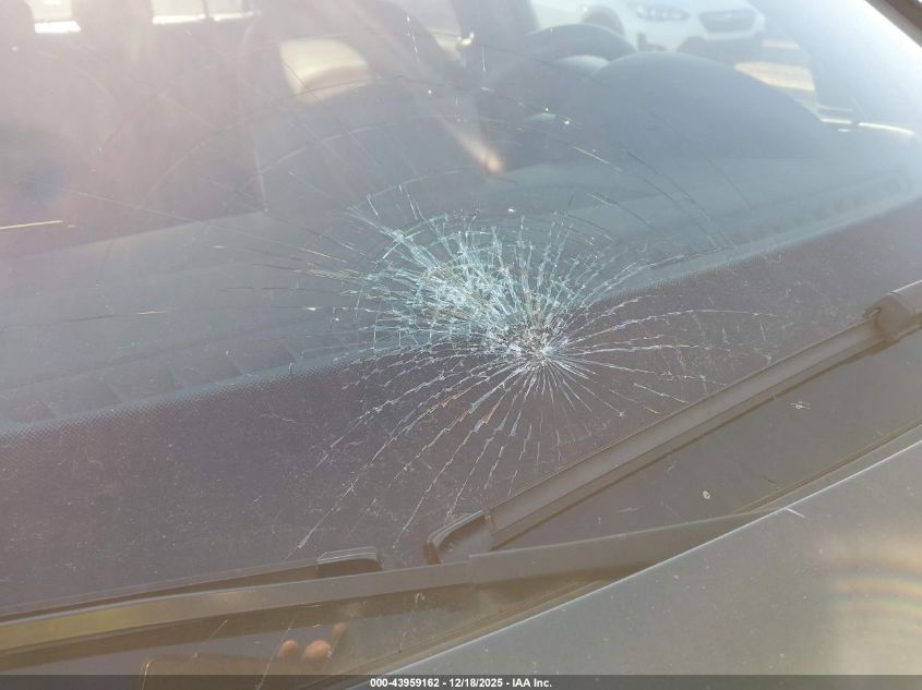 2016 Audi Q3 2.0T Premium Plus VIN: WA1GFCFS2GR004381 Lot: 43959162