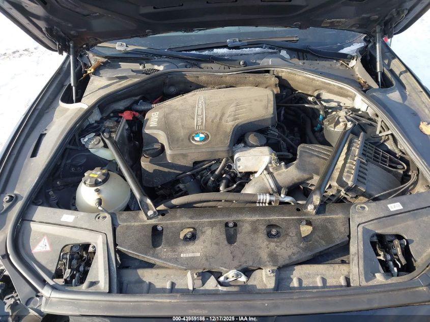 2014 BMW 528I xDrive VIN: WBA5A7C51ED619772 Lot: 43959186