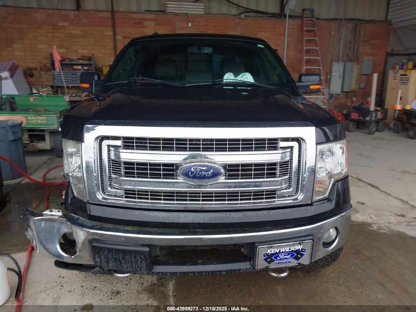 2013 Ford F-150 Xlt VIN: 1FTFW1ET7DKG39679 Lot: 43959273