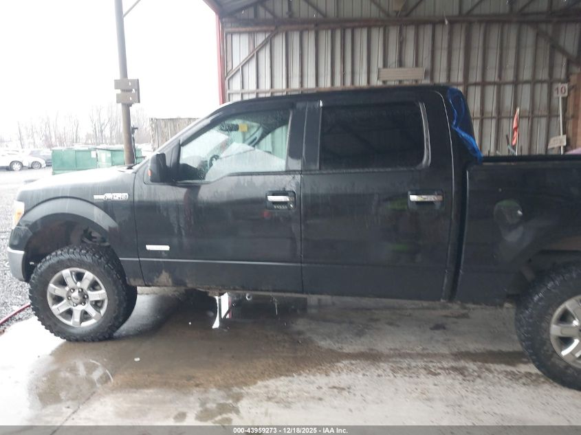 2013 Ford F-150 Xlt VIN: 1FTFW1ET7DKG39679 Lot: 43959273