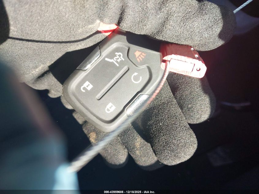 2024 GMC Terrain Awd At4 VIN: 3GKALYEG0RL141915 Lot: 43959686