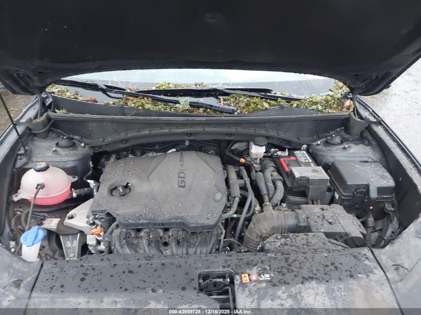 2024 Hyundai Tucson Sel VIN: 5NMJBCDE6RH324315 Lot: 43959728