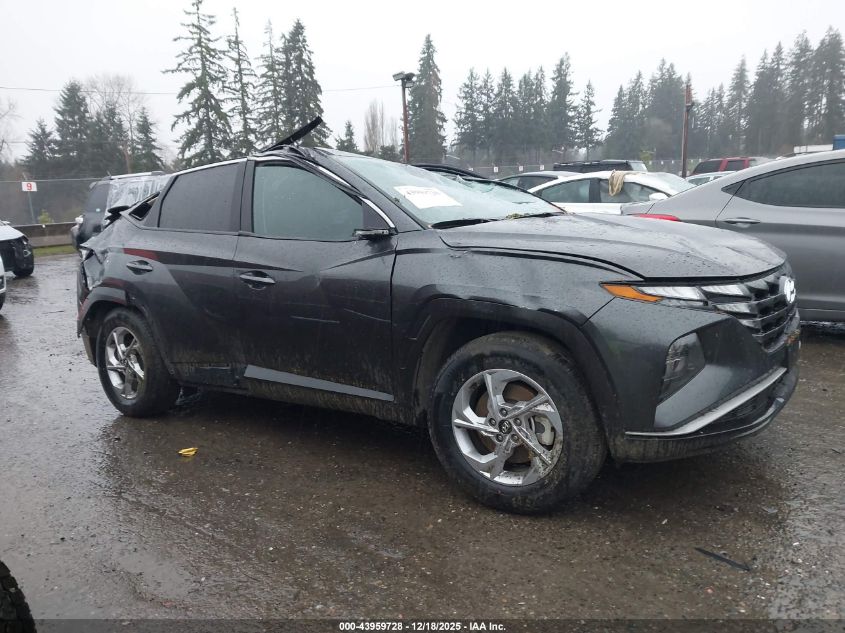 2024 Hyundai Tucson Sel VIN: 5NMJBCDE6RH324315 Lot: 43959728