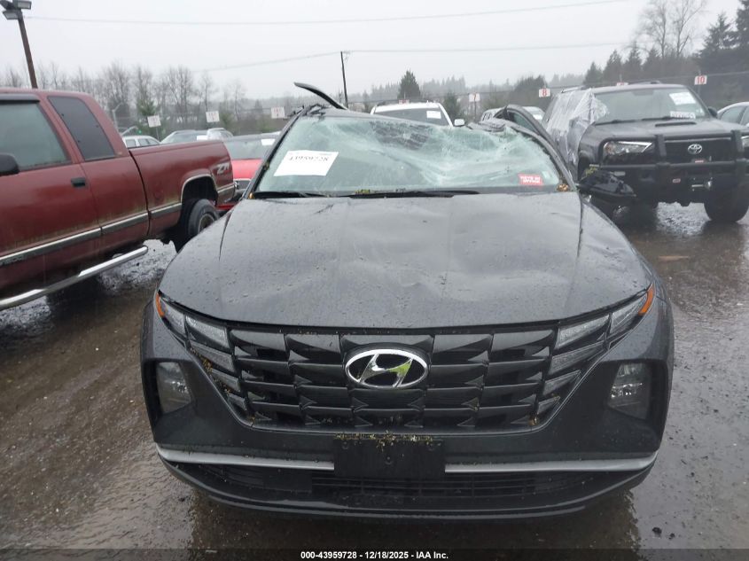 2024 Hyundai Tucson Sel VIN: 5NMJBCDE6RH324315 Lot: 43959728