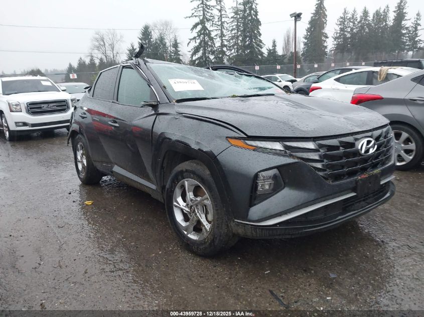 2024 Hyundai Tucson Sel VIN: 5NMJBCDE6RH324315 Lot: 43959728