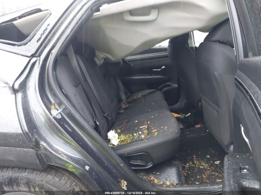 2024 Hyundai Tucson Sel VIN: 5NMJBCDE6RH324315 Lot: 43959728