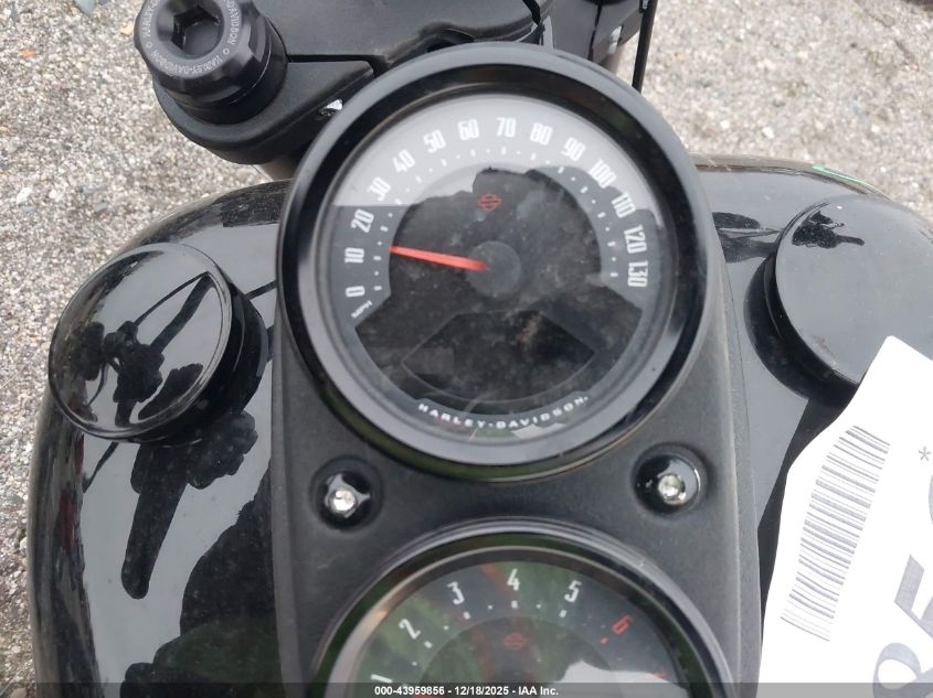 2021 Harley-Davidson Fxlrs VIN: 1HD1YWK2XMB041193 Lot: 43959856