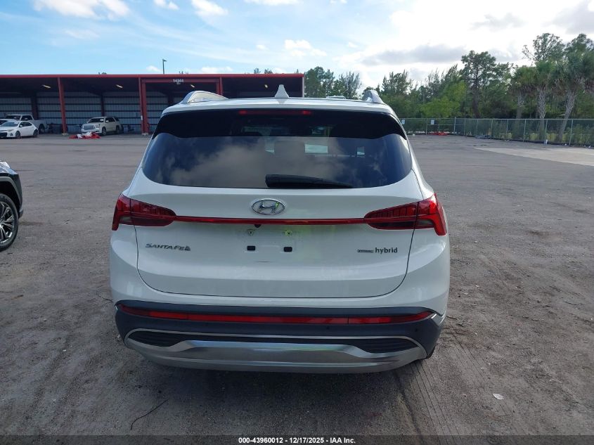 2023 Hyundai Santa Fe Hybrid Sel Premium VIN: 5NMS3DA18PH016164 Lot: 43960012