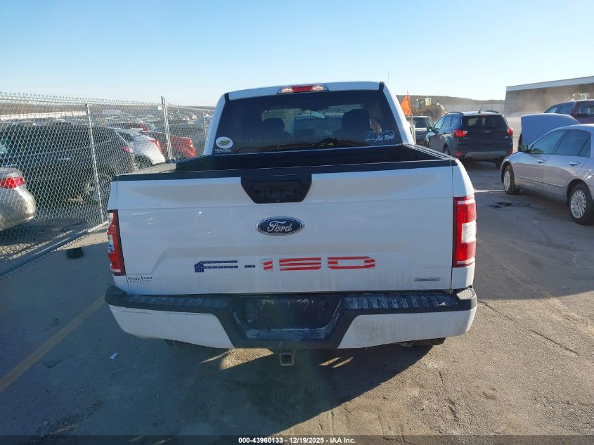 2019 Ford F-150 Xl VIN: 1FTEW1EP9KKE74505 Lot: 43960133