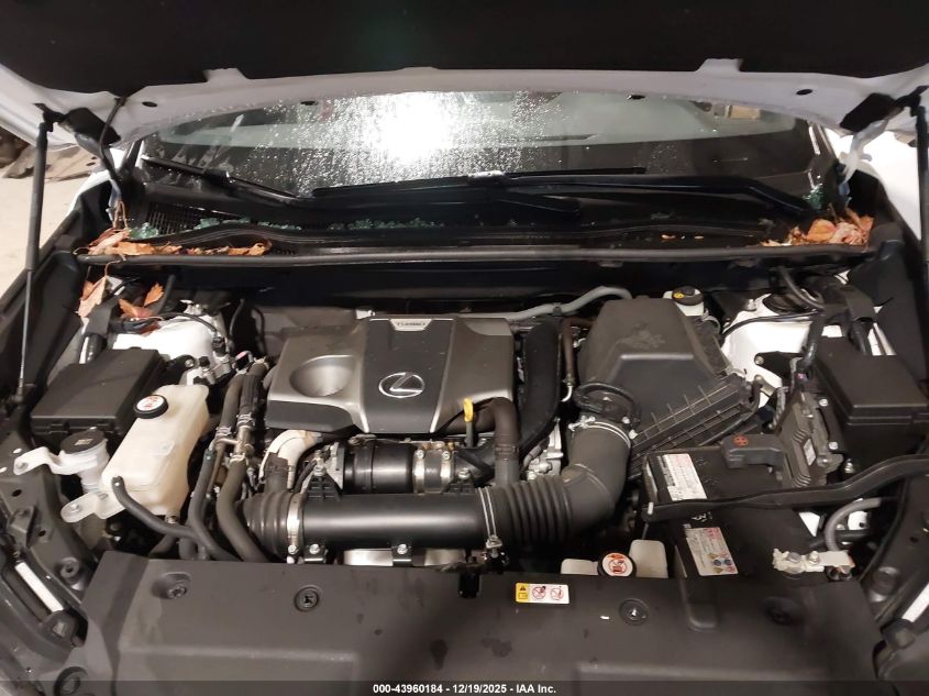 2021 Lexus Nx 300 F Sport VIN: JTJSARDZ9M5019879 Lot: 43960184