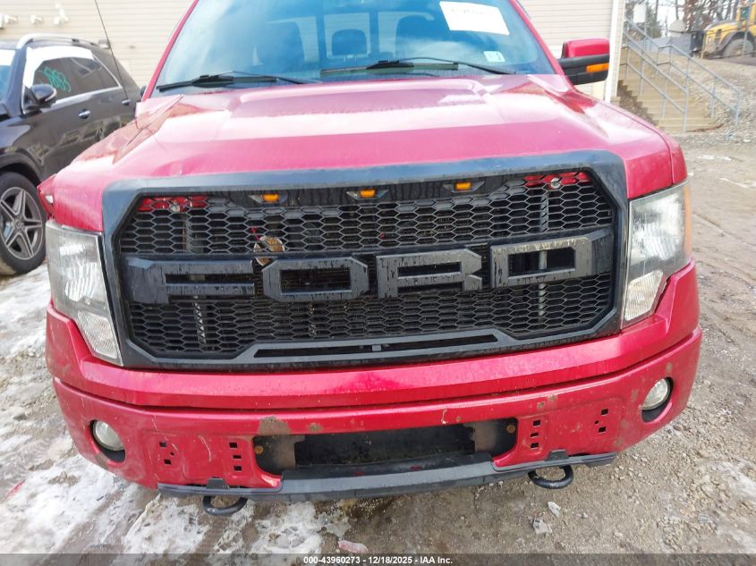 2012 Ford F-150 Fx4 VIN: 1FTFX1EF5CFA37541 Lot: 43960273