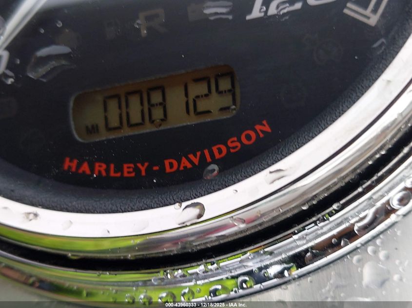 2020 Harley-Davidson Flhr VIN: 1HD1FBC15LB647312 Lot: 43960333