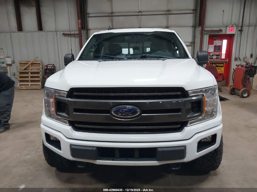 2019 Ford F-150 Xlt VIN: 1FTEW1EP8KFA33912 Lot: 43960430