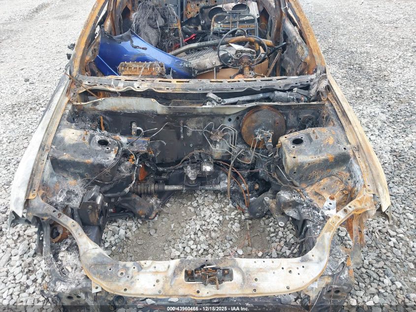 1999 Honda Civic Si VIN: 1HGEM1150XL081683 Lot: 43960466