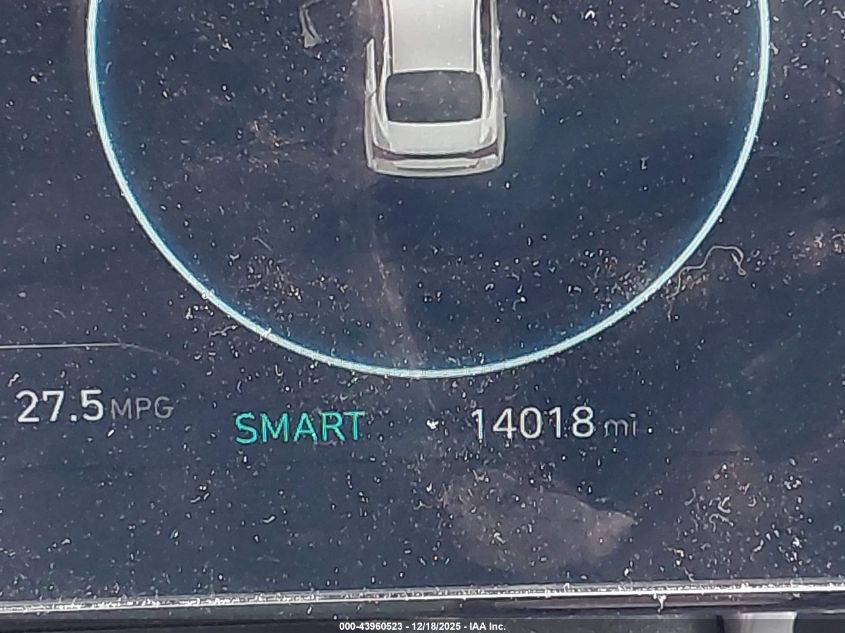 2024 Hyundai Elantra Sel VIN: KMHLS4DG8RU640979 Lot: 43960523