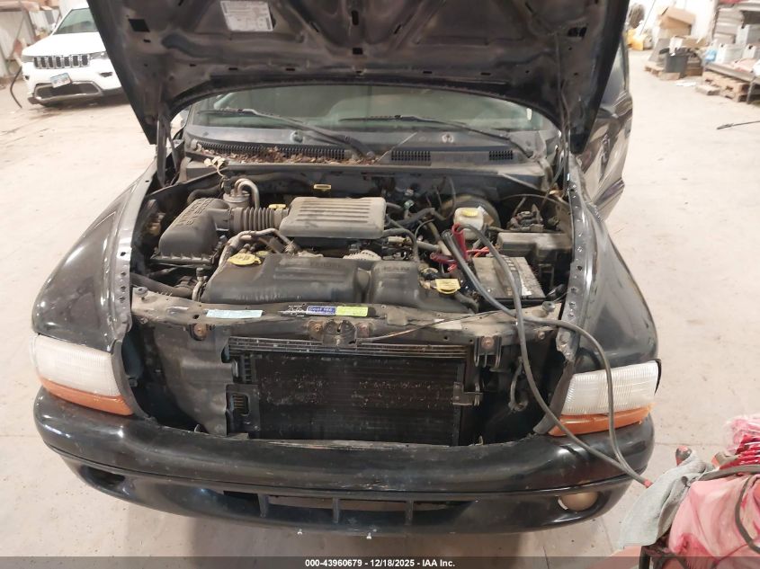 2000 Dodge Dakota Slt/Sport VIN: 1B7GG22N6YS703441 Lot: 43960679