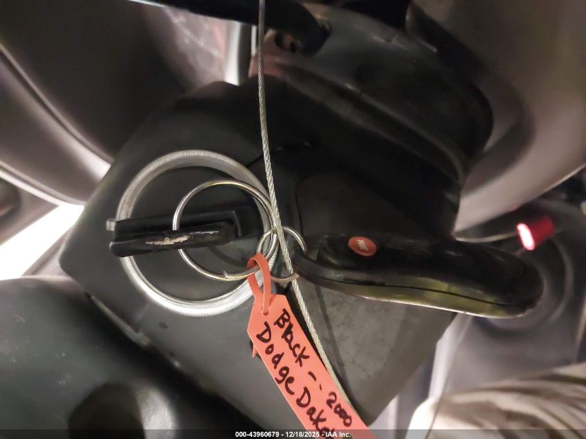 2000 Dodge Dakota Slt/Sport VIN: 1B7GG22N6YS703441 Lot: 43960679