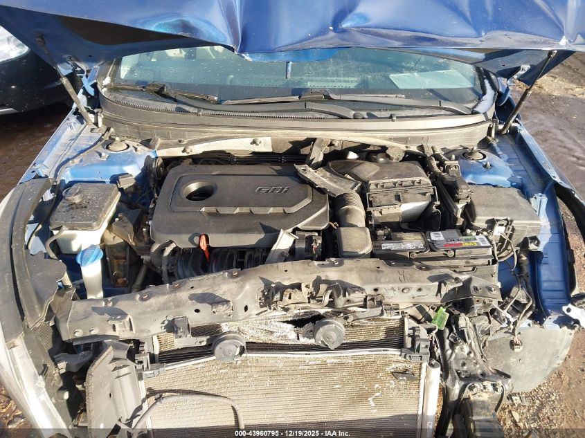 2016 Hyundai Sonata Se VIN: 5NPE24AF6GH273970 Lot: 43960795