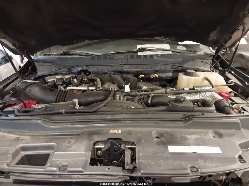 2017 Ford F-250 Xl VIN: 1FT7X2BT7HEF09742 Lot: 43960802