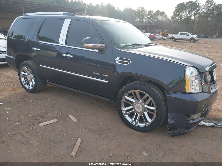 CADILLAC ESCALADE PLATINUM EDITION