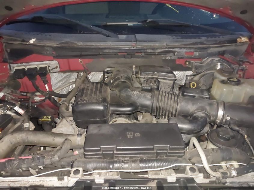 2010 Ford F-150 Fx4/Harley-Davidson/King Ranch/Lariat/Platinum/Xl/Xlt VIN: 1FTFW1EV6AKA89775 Lot: 43960847