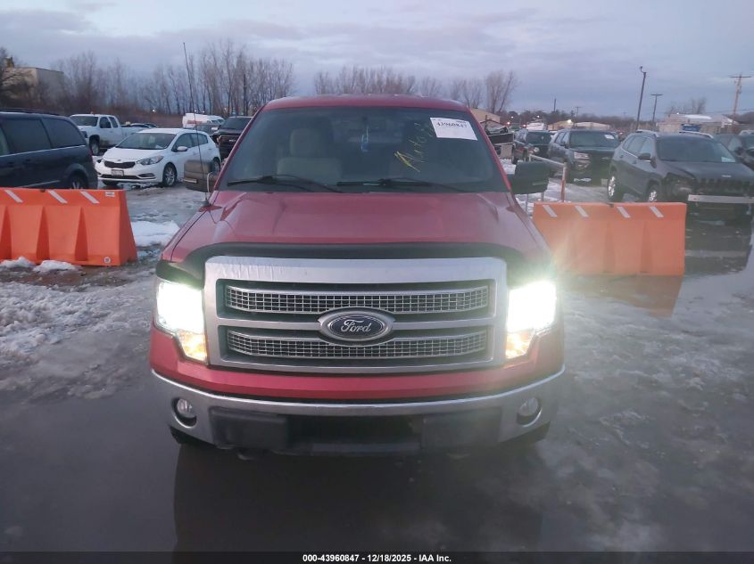 2010 Ford F-150 Fx4/Harley-Davidson/King Ranch/Lariat/Platinum/Xl/Xlt VIN: 1FTFW1EV6AKA89775 Lot: 43960847